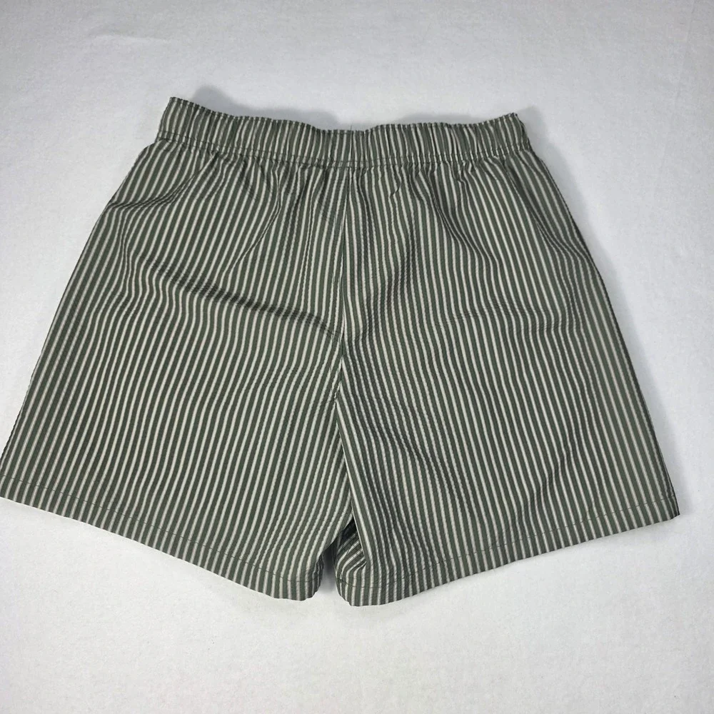 Hollister Men's S Green/White Striped Swim Trunks Lined Mesh Pockets Drawstring